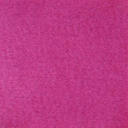 Fucsia 2P14