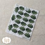 P-Small-34 Aghifoglio - immagine 2