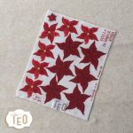 P-Small-35 Stella di Natale Rossa - immagine 2