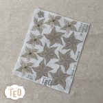 P-Small-36 Stella di Natale Beige - immagine 2