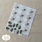 P-Small-37 Bucaneve - immagine 2