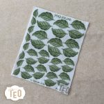 P-Small-67 Foglioline - immagine 2