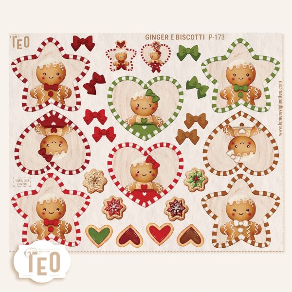 P-173 Ginger e Biscotti - immagine 1