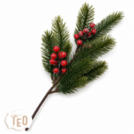 Ramo Di Abete Con Bacche Rosse