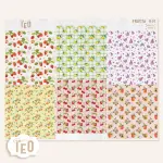 R-01 Frutta
