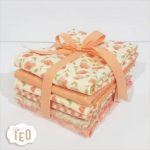 Set Primule Albicocca