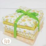 Set Primule Giallo Sole