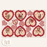 P-MIDI -56 Orsetti del cuore