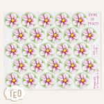 P-Small-1 Fiori di Pesco