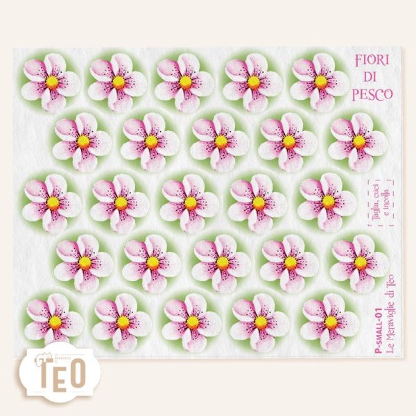 P-Small-1 Fiori di Pesco - immagine 1