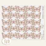 P-Small Farfalle - immagine 8