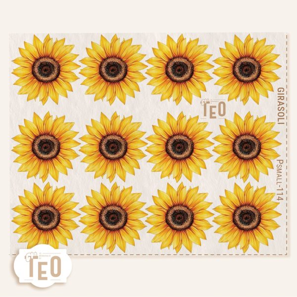 P-Small-114 Girasoli - immagine 1