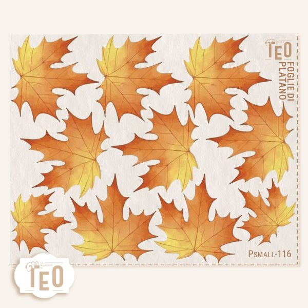 P-Small-116 Foglie Di Platano - immagine 1