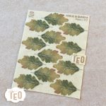 P-Small-117 Foglie Di Quercia - immagine 2