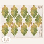 P-Small-117 Foglie Di Quercia