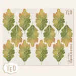 P-Small-117 Foglie Di Quercia