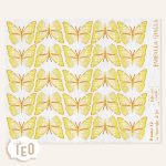 P-Small Farfalle - immagine 9