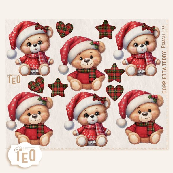 P-Small-122 Coppietta Teddy - immagine 1
