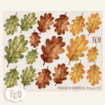 P-Small-161 Foglie di Quercia