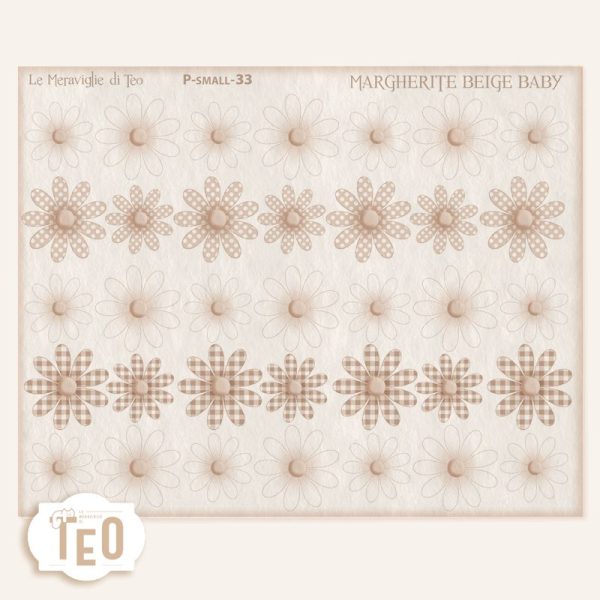 P-Small-33 Margherite Beige Baby - immagine 1