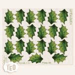 P-Small-34 Aghifoglio