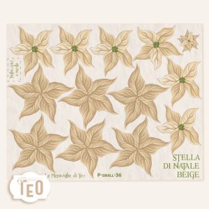P-Small-36 Stella di Natale Beige